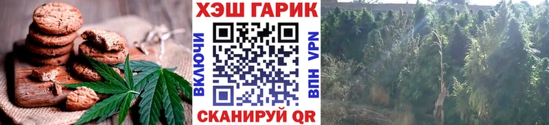 где найти   Гусиноозёрск  Еда ТГК конопля 