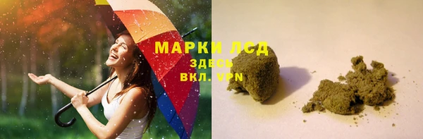 ГАЛЛЮЦИНОГЕННЫЕ ГРИБЫ Вязники