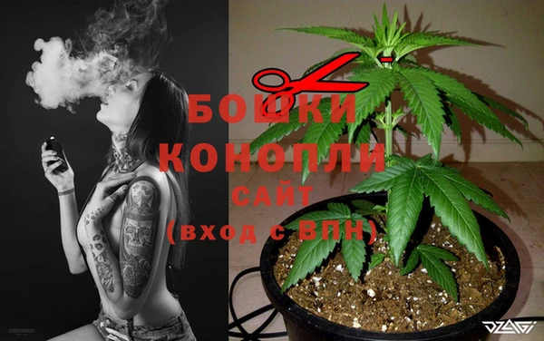 бошки Вязьма
