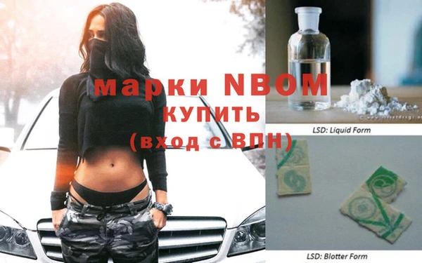 ГАЛЛЮЦИНОГЕННЫЕ ГРИБЫ Вязники