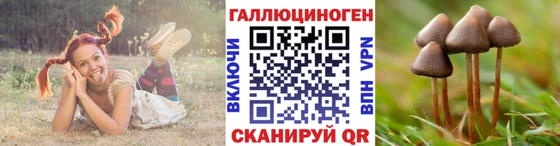 Галлюциногенные грибы MAGIC MUSHROOMS  ОМГ ОМГ зеркало  Гусиноозёрск 